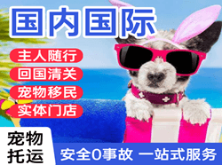 凯里黄平机场物流国际宠物托运 【国